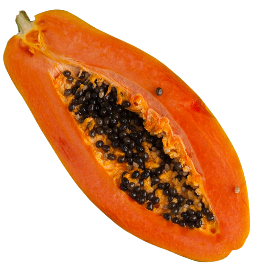 Papaya, Papaya png, Papaya png image, Papaya transparent png image, Papaya png full hd images download